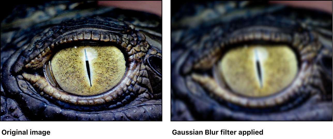 Canvas showing effect of Gaussian Blur filter