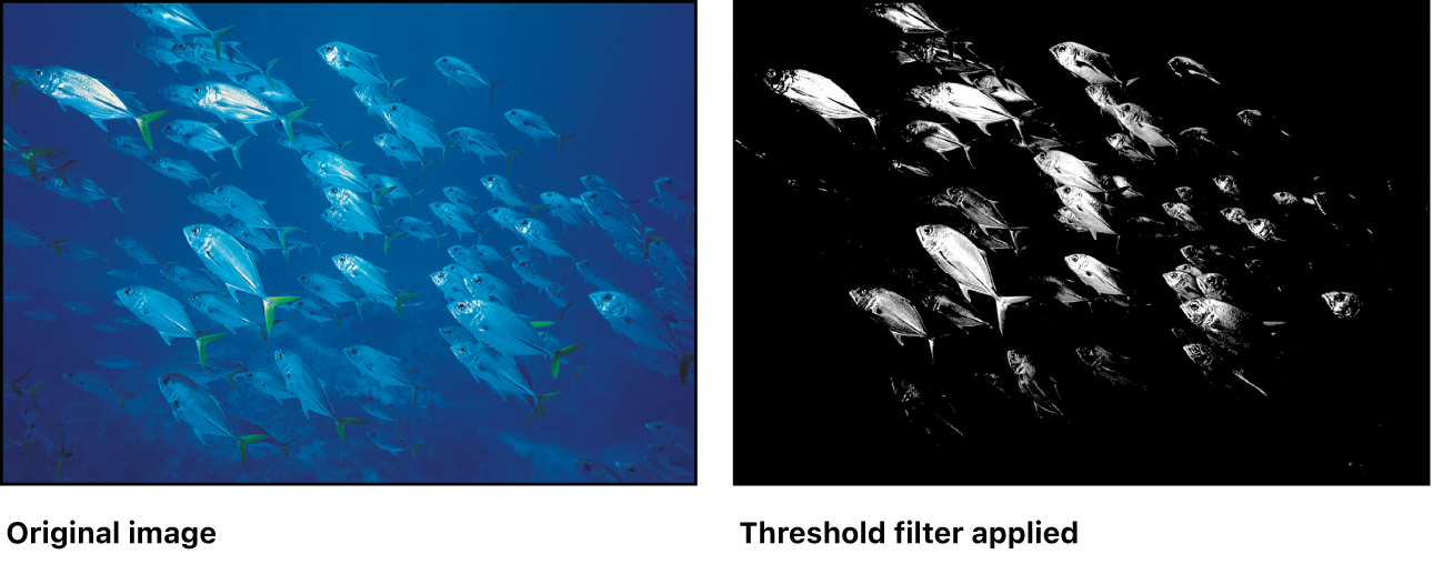 Canvas showing effect of Threshold filter