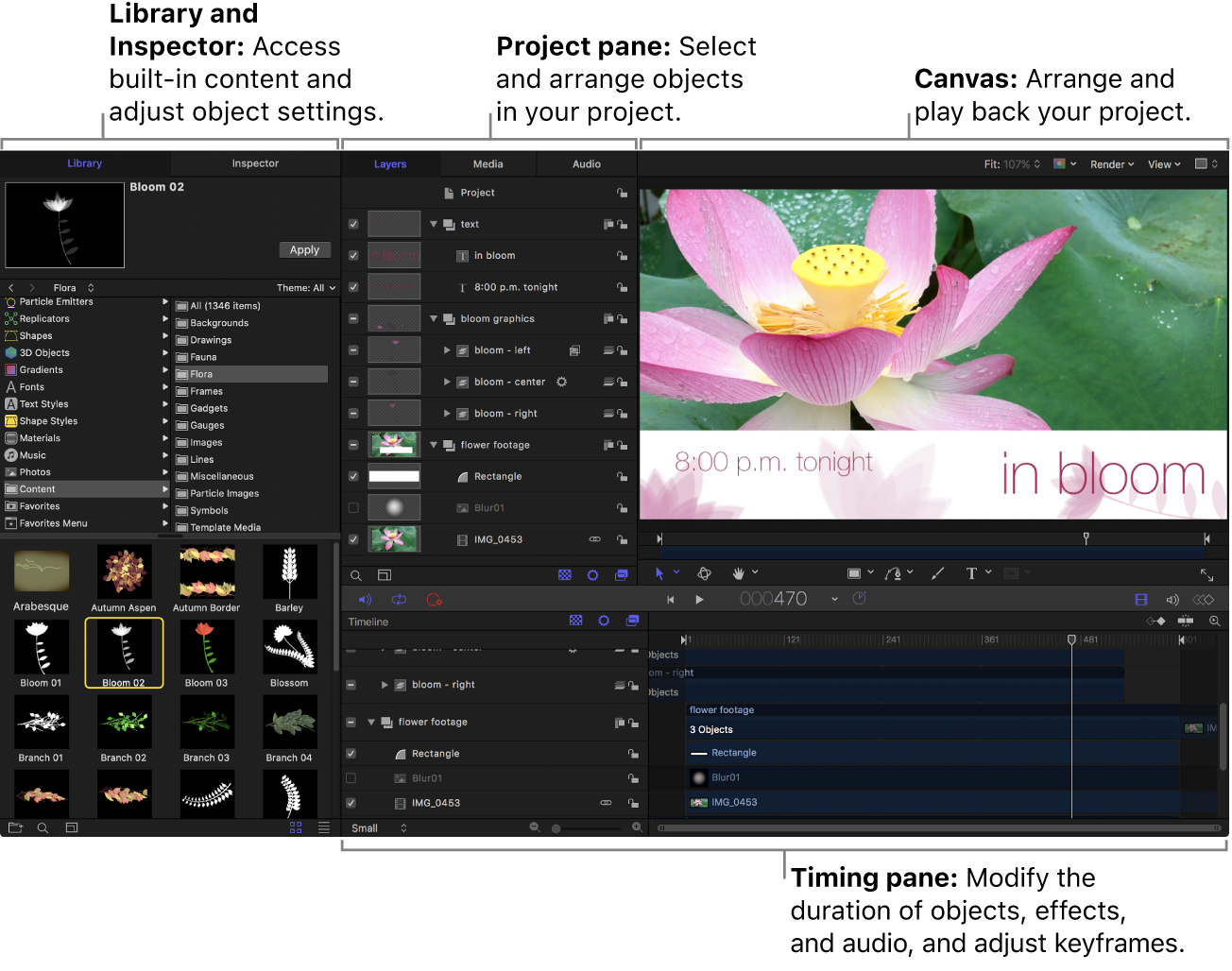 Motion window showing the Library, Project pane, canvas, Timing pane, and toolbar