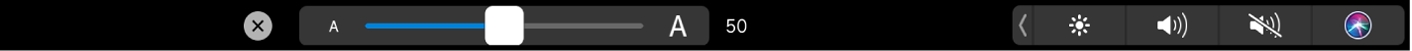 Opciones de tamaño del texto de la Touch Bar