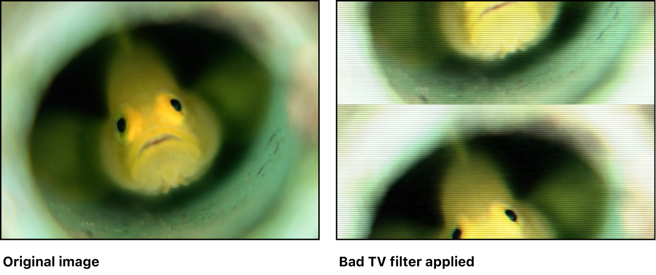 Lienzo con efecto del filtro “Distorsión televisiva”