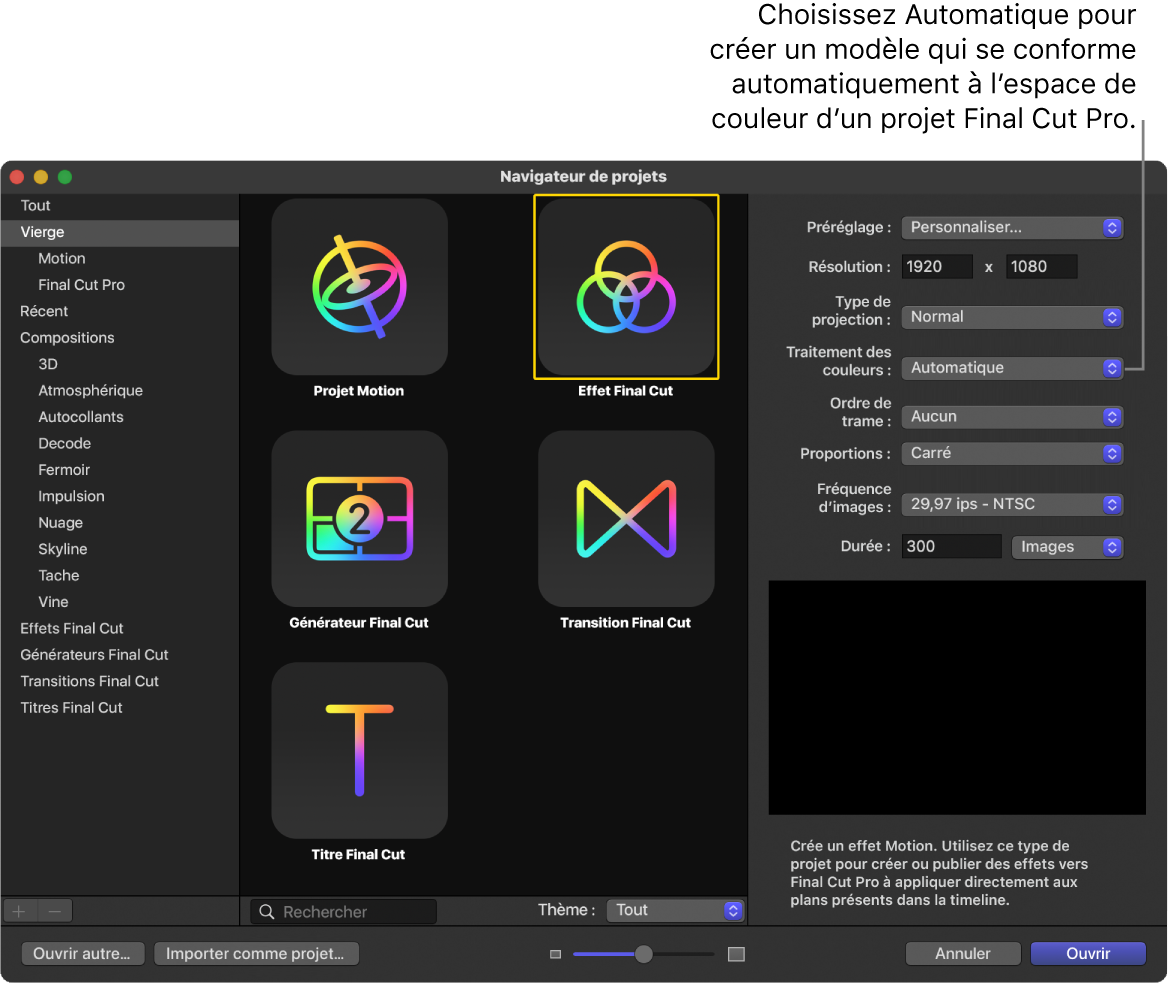 Navigateur de projets montrant l’icône Effet Final Cut et le Traitement des couleurs défini sur Automatique