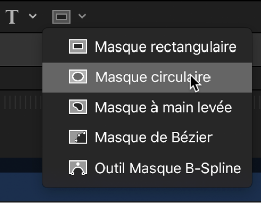 Sélection de l’outil Masque circulaire dans les outils de forme de masque de la barre d’outils du canevas