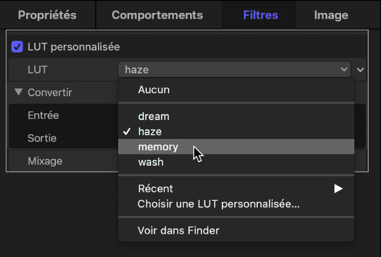 Inspecteur de filtres affichant le choix d’une LUT personnalisée dans le menu local LUT