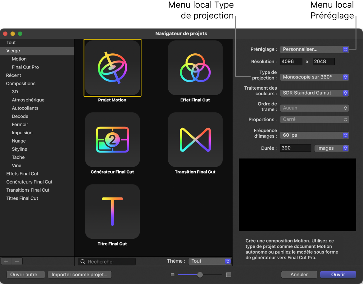 Navigateur de projets montrant le menu local Préréglage et le menu local Type de projection