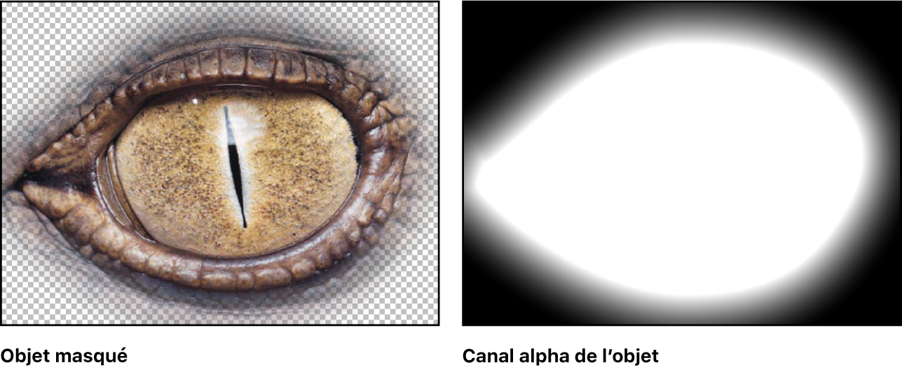 Canevas affichant un objet masqué et le canal alpha correspondant