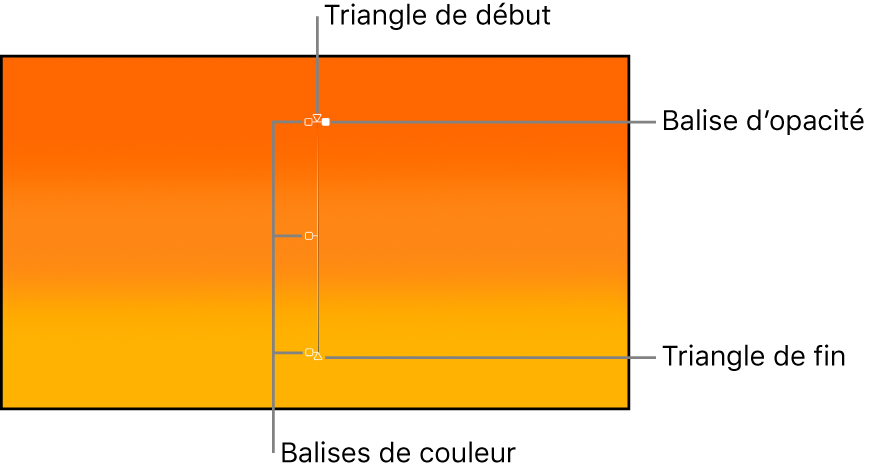 Commandes à l’écran de dégradé affichant un triangle de départ, une balise de couleur, une balise d’opacité et un triangle d’arrivée