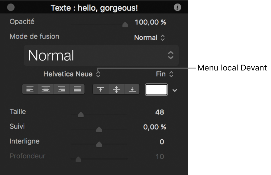 Palette Texte avec menu local Polices