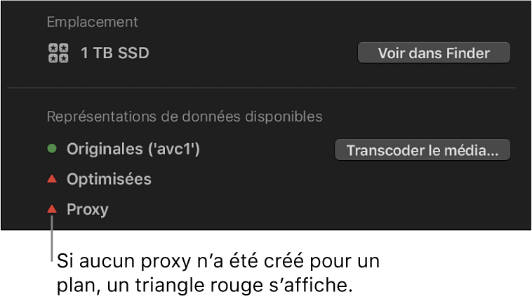 Inspecteur d’informations affichant un triangle rouge indiquant qu’aucun fichier proxy n’existe pour le plan sélectionné