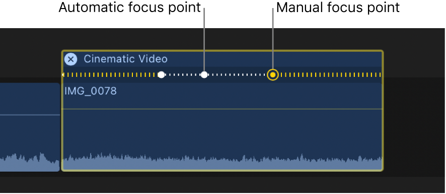 자동 초점 포인트(흰색 점) 및 수동 초점 포인트(주변에 링이 있는 노란색 점)를 표시하는 시네마틱 편집기