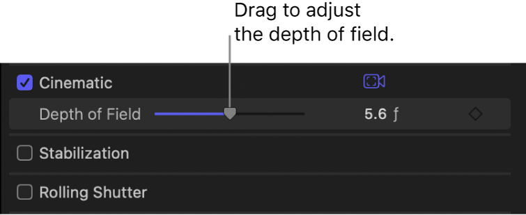 피사계 심도 슬라이더를 보여주는 비디오 인스펙터의 시네마틱 섹션