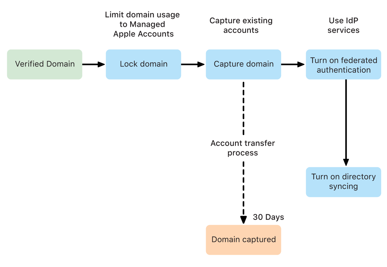 Et flowdiagram, der viser tre valgmuligheder, efter et domæne er bekræftet: lås domænet, registrer domænet, og brug godkendelse via organisationsnetværket.