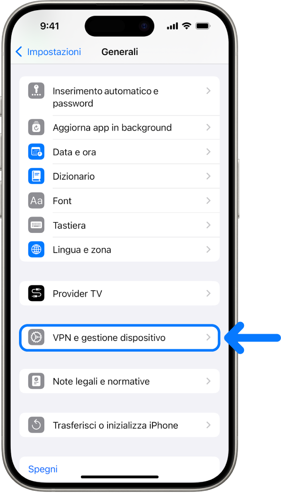 Una schermata di iPhone che mostra l’opzione “VPN e gestione dispositivi” selezionata.