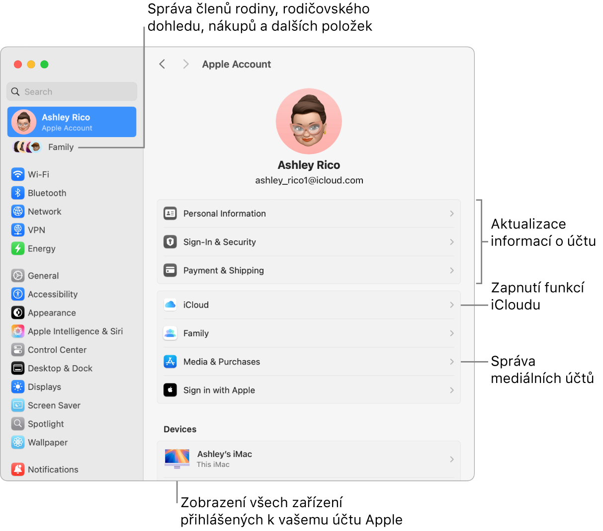 Volby účtu Apple v Nastavení systému s popisky u ovládacích prvků pro aktualizaci informací o účtu, zapnutí nebo vypnutí různých funkcí iCloudu a správu účtů pro média a u volby Rodina, která vám umožňuje spravovat členy rodiny, rodičovský dohled, nákupy a další položky.