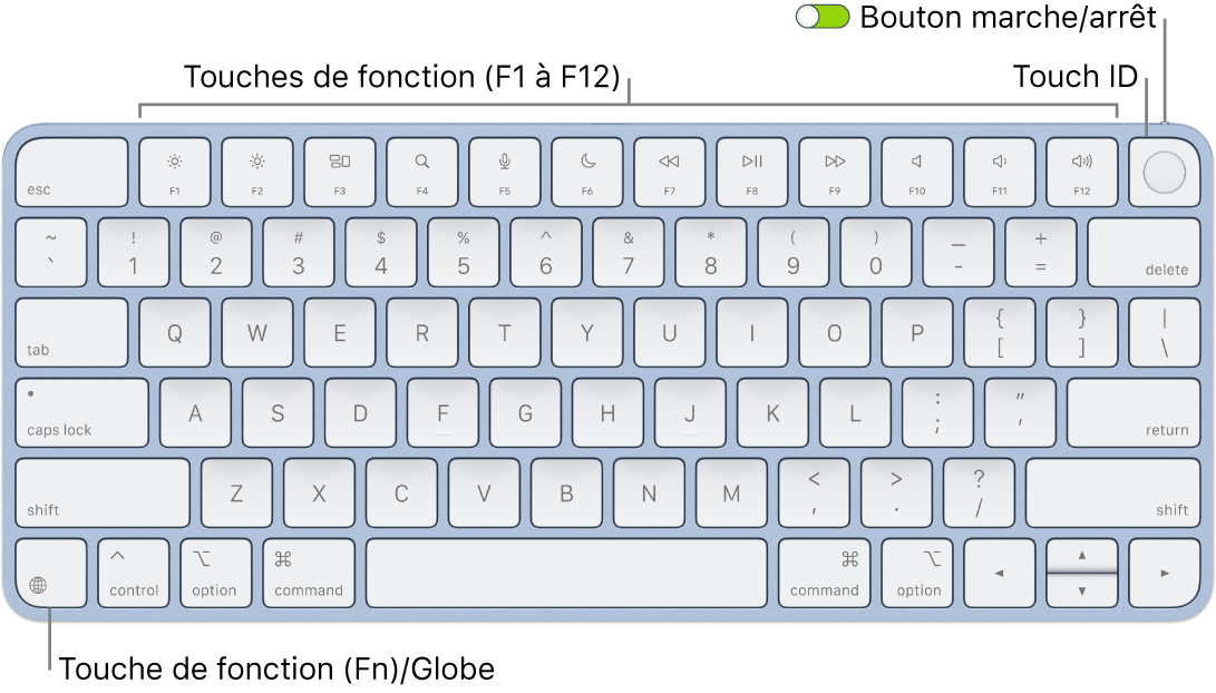 Le Magic Keyboard avec Touch ID affichant le rang des touches de fonction et le capteur Touch ID en haut, ainsi que la touche Fonction (Fn)/Globe dans le coin inférieur gauche.