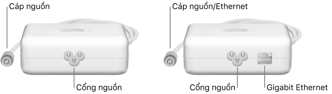 Một bộ tiếp hợp nguồn không có cổng Ethernet và một bộ tiếp hợp nguồn có cổng Ethernet.