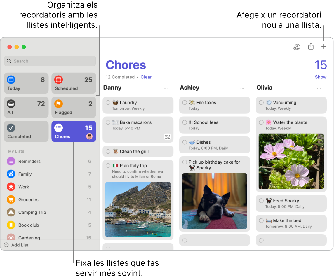 Una finestra de l’app Recordatoris amb llistes intel·ligents a l’esquerra i altres recordatoris i llistes a sota. El punter és a un recordatori. Hi ha les llegendes de les llistes intel·ligents i el botó “Afegeix un recordatori nou”.