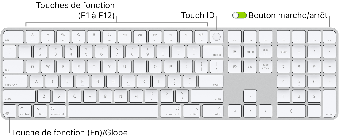 Le Magic Keyboard avec Touch ID et pavé numérique affichant le rang des touches de fonction et le capteur Touch ID en haut, ainsi que la touche Fonction (Fn)/Globe à droite de la touche Supprimer.