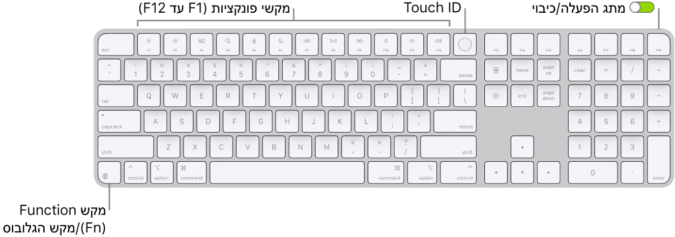 ה-Magic Keyboard עם ה-Touch ID ו״משטח ספרות״ מציגים את שורת מקשי הפונקציה וה-Touch ID לאורך החלק העליון, ואת מקש הפונקציה (Fn)/גלובוס מימין למקש Delete.