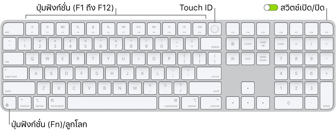 Magic Keyboard ที่มี Touch ID และปุ่มตัวเลขที่แสดงแถวของปุ่มฟังก์ชั่นและ Touch ID ตลอดแนวด้านบนสุด และปุ่มฟังก์ชั่น (Fn)/ลูกโลกที่ด้านขวาของปุ่ม Delete