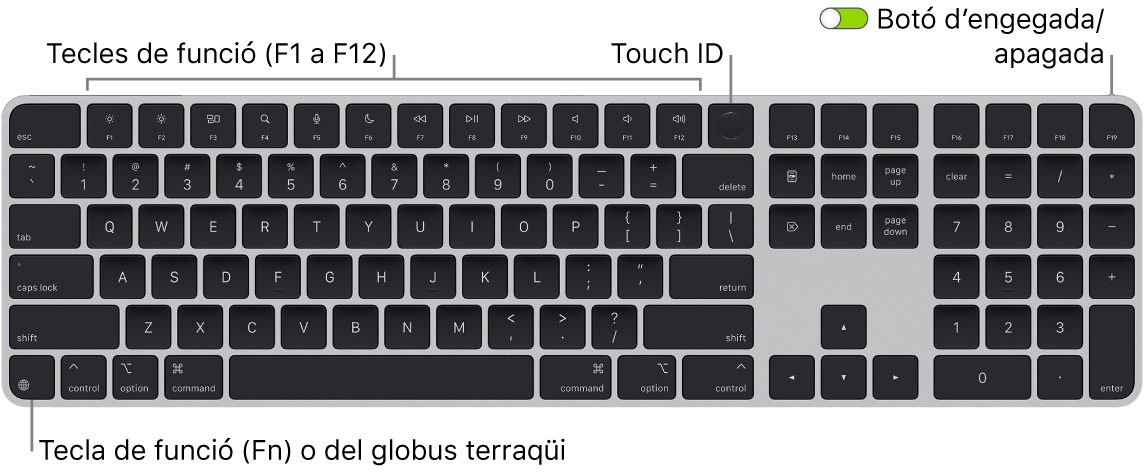 Un Magic Keyboard amb Touch ID i teclat numèric, en què es veu la filera de tecles de funció amb el Touch ID a la part superior i la tecla de funció (Fn)/Globus terraqüi a la part inferior esquerra.