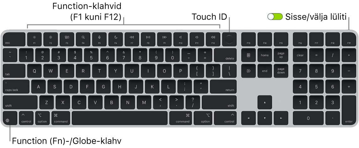 Touch ID-ga ja numbriklahvistikuga Magic Keyboard, mille ülaosas on funktsiooniklahvide rida ja Touch ID ning all vasakul klahv Function (Fn)/Globe.