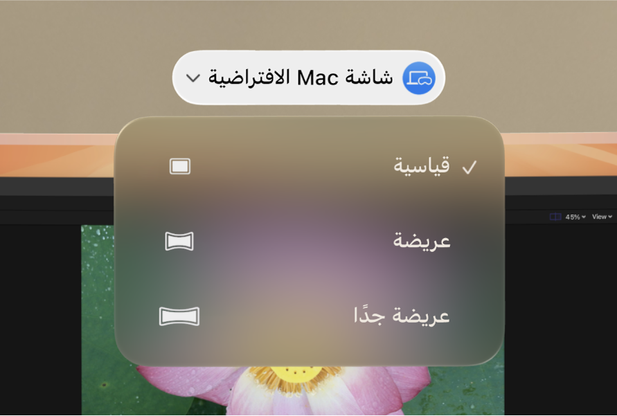 ‏visionOS تظهر بها خيارات نسبة العرض إلى الارتفاع لشاشة Mac الافتراضية.