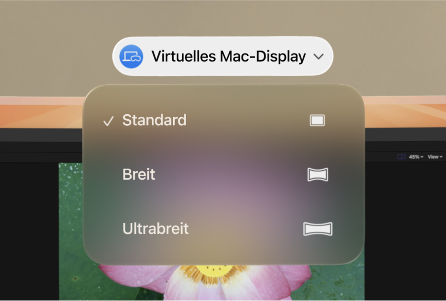 visionOS mit den Einstellungen zum Bildformat für das virtuelle Mac-Display.