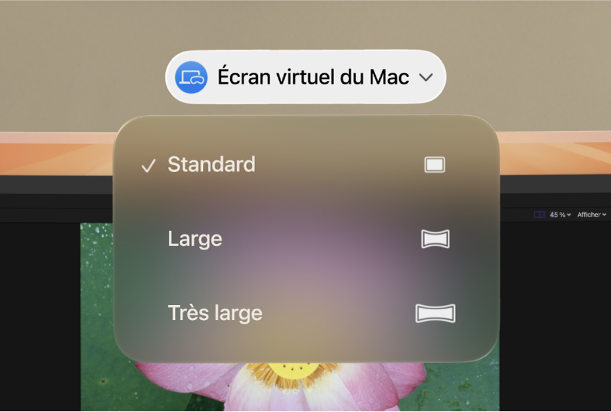 visionOS affichant les options de format pour l’écran virtuel du Mac.