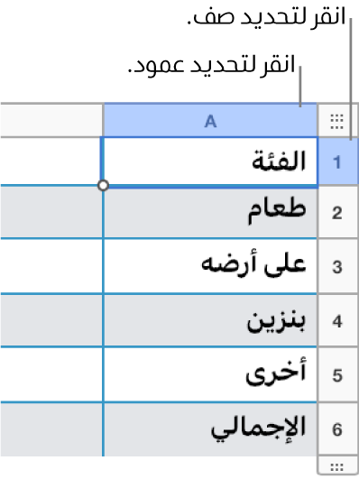 صف جدول محدد يتضمن وسائل شرح لتحديدات الصف والعمود.