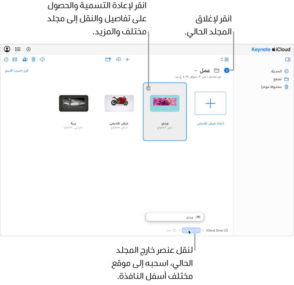 في مدير المستندات في طريقة عرض التصفح، يُسحَب عرض تقديمي إلى موقع جديد (مجلد Keynote) في أسفل النافذة. أسفل شريط الأدوات، يظهر زر "الرجوع" على يمين اسم المجلد الحالي (Work).