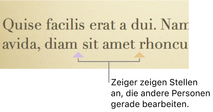 Cursor in verschiedenen Farben, die anzeigen, an welchen Stellen andere Personen eine geteilte Präsentation bearbeiten.