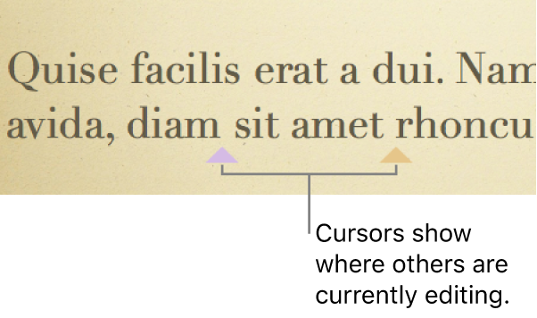 Cursors in different colors showing where other people are editing in a shared presentation.