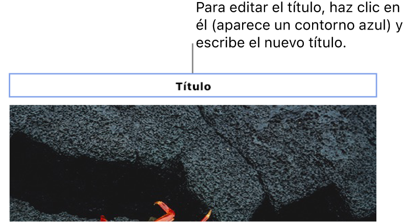 El título de marcador de posición, “Título”, aparece encima de una foto y un contorno azul alrededor del campo de título muestra que está seleccionado.