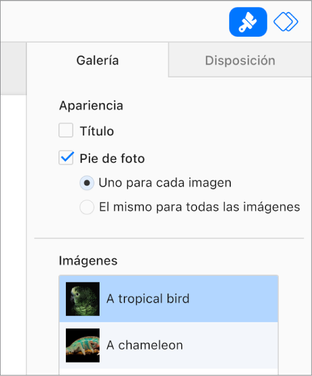 La pestaña Galería en la barra lateral Formato. La casilla “Pies de foto” está seleccionada y hay opciones para poner pies de foto individuales para cada imagen o el mismo pie de foto para todas las imágenes. Debajo de los controles hay miniaturas de cada imagen, con el pie de foto a la derecha.