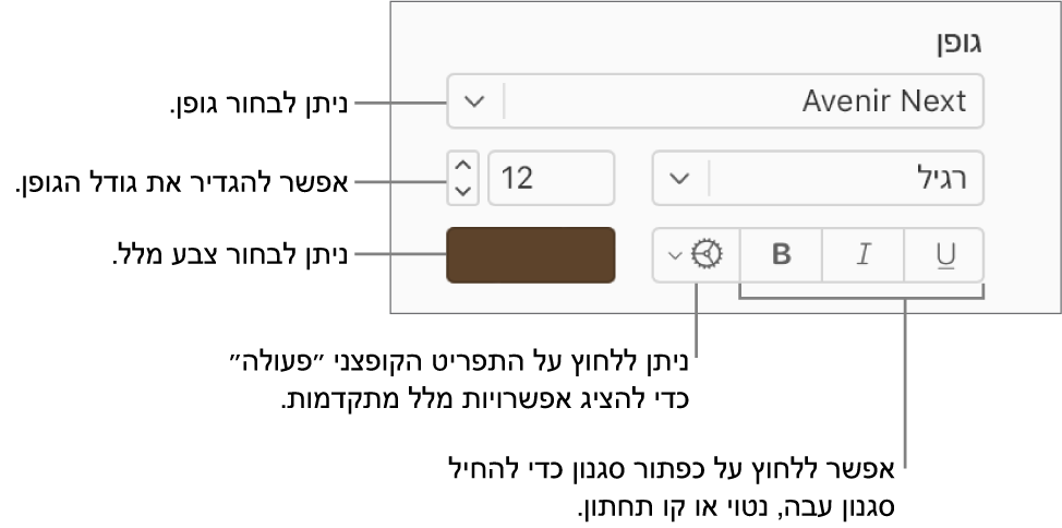 פקדי הגופן וסגנון הטקסט בסרגל הצד ״עיצוב״.