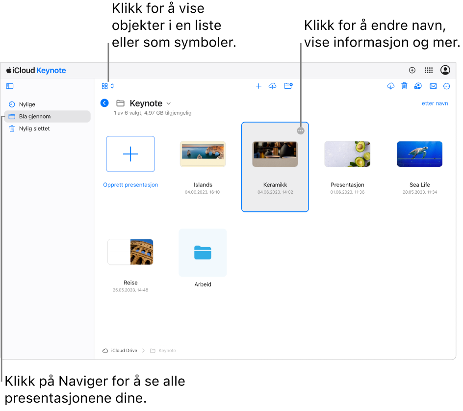 Dokumentorganisereren i navigeringsvisning viser Keynote-presentasjoner som symboler i et rutenett. Mer-knappen (tre prikker) vises i oppe i høyre hjørne av den valgte presentasjonen. Over presentasjonene er det en lokalmeny på venstre side i verktøylinjen der du kan velge om du vil vise objekter som symboler eller i en liste. Til høyre i verktøylinjen er det knapper for å laste ned, samarbeide, sende e-post og slette.