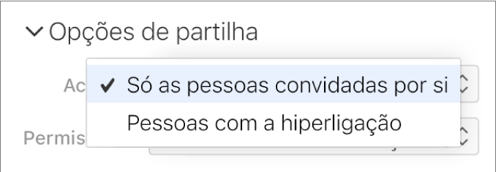 O menu pop-up “Permissão de acesso” nas “Opções de partilha”.