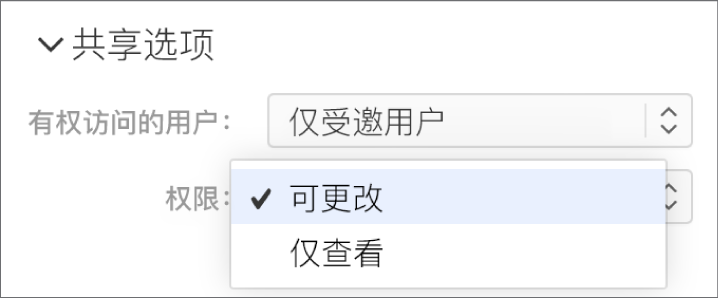 “共享选项”下方的“权限”弹出式菜单已打开，其中包括允许用户更改演示文稿或仅查看演示文稿的选项。