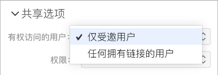 “共享”选项中的“有权访问的用户”弹出式菜单。