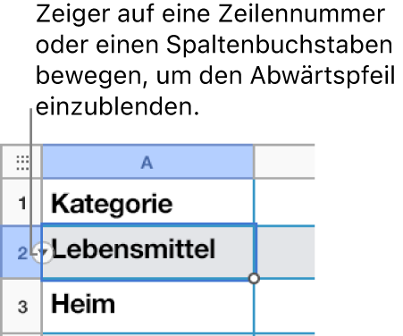 Eine Zeilennummer wurde in der Tabelle gewählt und ein Abwärtspfeil ist auf der rechten Seite nun sichtbar.