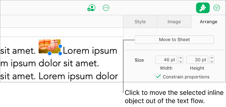 An inline image inside a text box is selected, and a Move to Sheet button is visible in the Arrange tab in the sidebar.
