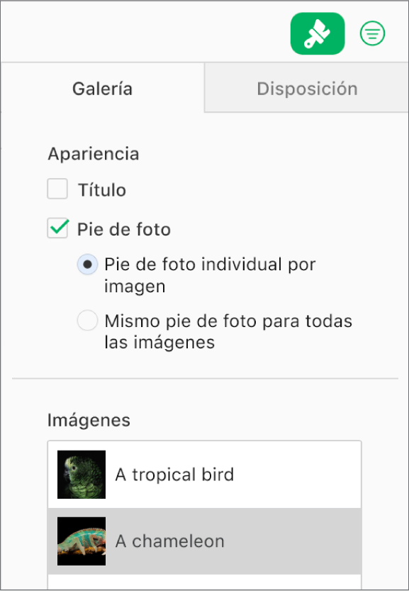 La pestaña Galería en la barra lateral Formato. La casilla “Pies de foto” está seleccionada y hay opciones para poner pies de foto individuales para cada imagen o el mismo pie de foto para todas las imágenes. Debajo de los controles hay miniaturas de cada imagen, con el pie de foto a la derecha.