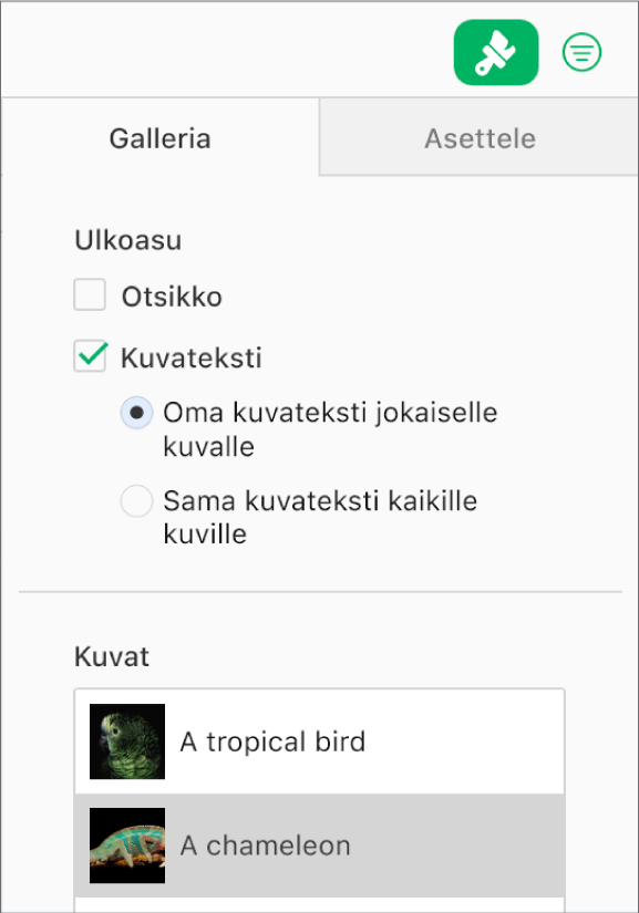 Kuvassa on Muoto-sivupalkin Galleria-välilehti. Kuvatekstit-valintaneliö on valittuna. Lisäksi näkyvissä on asetus, jolla voidaan käyttää omaa kuvatekstiä kussakin kuvassa, ja asetus, jolla voidaan käyttää samaa kuvatekstiä kaikissa kuvissa. Toimintojen alla ovat kunkin kuvan miniatyyrit ja kuvatekstit niiden oikealla puolella.