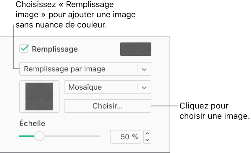 La case Remplissage est cochée dans la barre latérale et l’option Remplissage image est sélectionnée dans le menu local situé sous la case à cocher. Les commandes permettant de choisir l’image, la façon dont elle remplit l’objet et l’échelle de l’image s’affichent sous le menu local. Un aperçu du remplissage de l’image apparaît dans un carré une fois qu’une image est choisie.