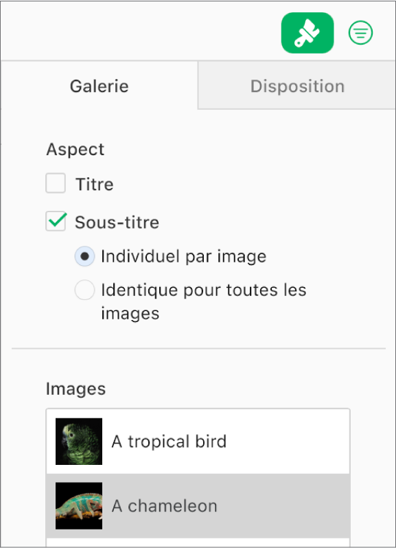 L’onglet Galerie dans la barre latérale Format. La case Sous-titre est sélectionnée et il existe des options pour activer un sous-titre individuel pour chaque image ou le même sous-titre pour l’ensemble des images. Sous les commandes se trouve la vignette de chaque image avec son sous-titre à droite.