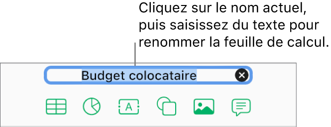 Le nom de la feuille de calcul, Vierge, est sélectionné en haut de la feuille de calcul ouverte.