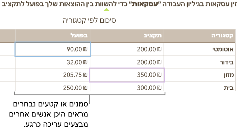 סמנים וקטעים נבחרים של תאי טבלה בצבעים שונים שמראים היכן אחרים עורכים בגיליון עבודה משותף.