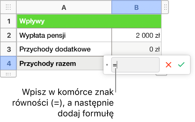 Otwarty edytor formuł ze znakiem = i bez wprowadzonej formuły.