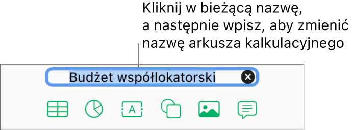 Nazwa arkusza kalkulacyjnego — Pusty — zaznaczona u góry otwartego arkusza.